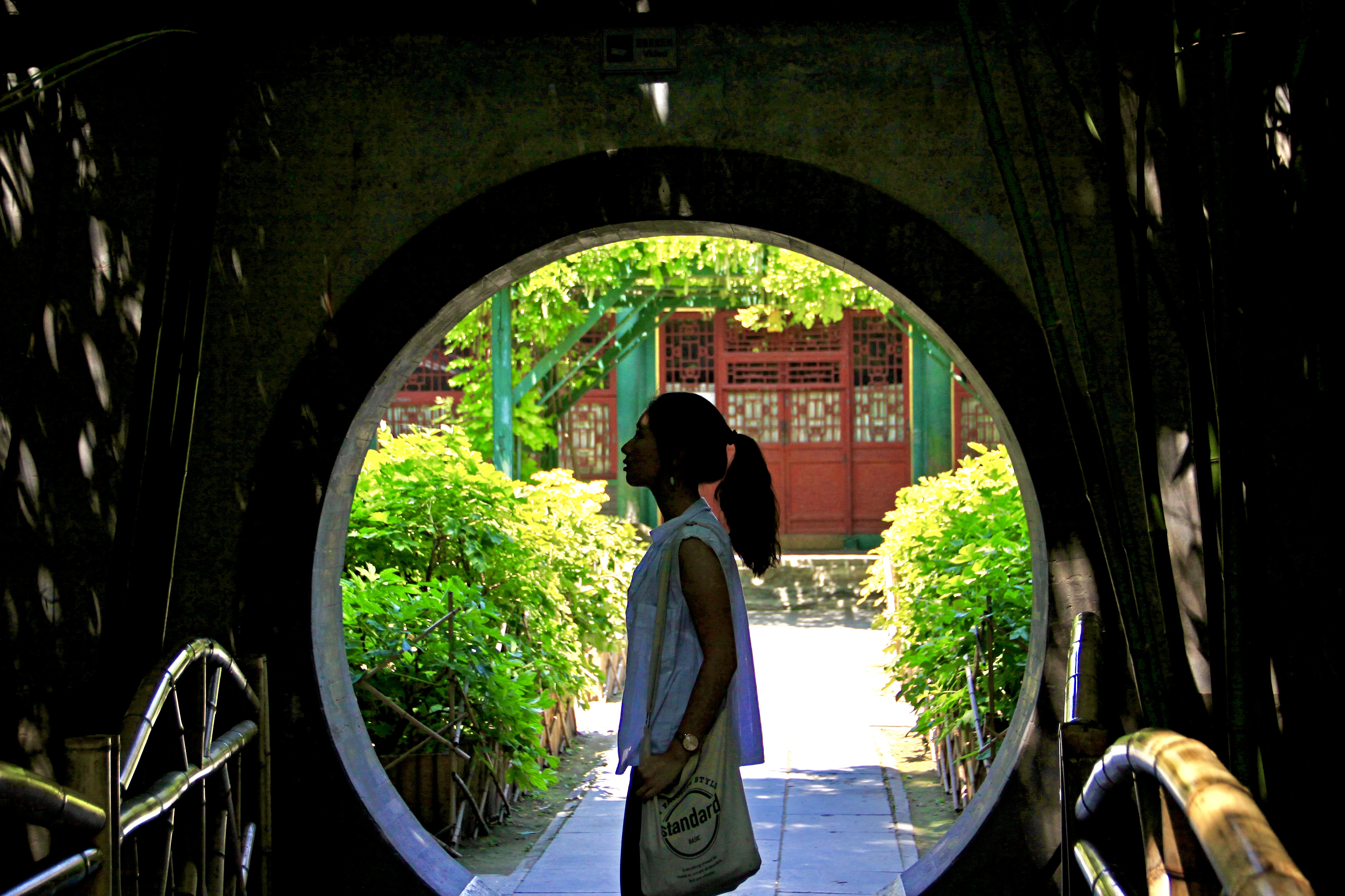 History and Philosophy